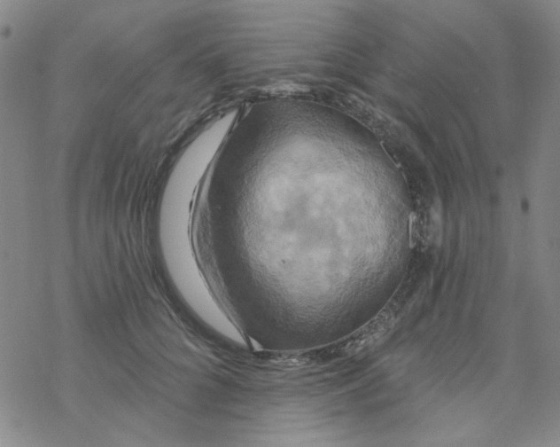 X0000068320704200605192033