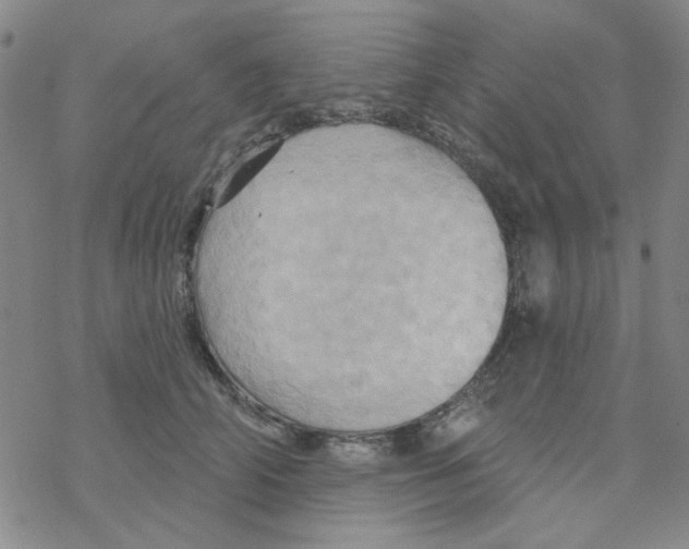 X0000068320706200605192033