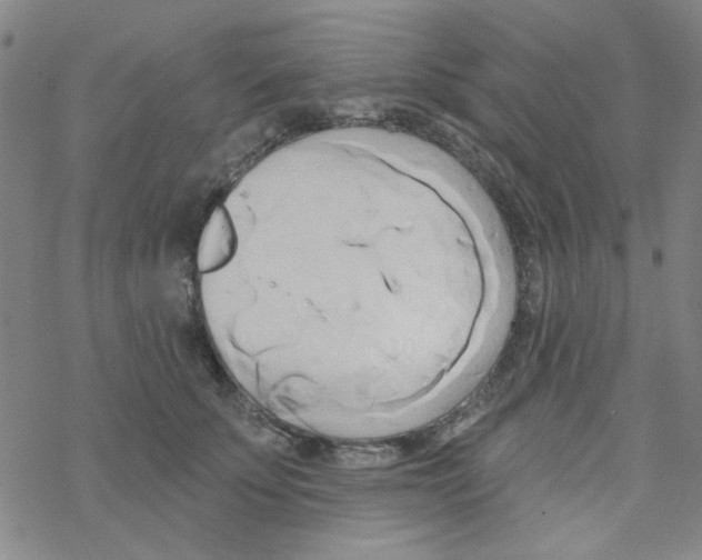 X0000068320707200605192033