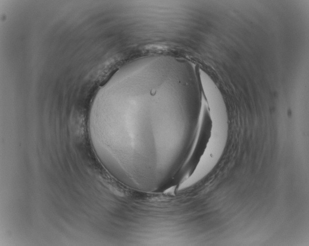 X0000068320708200605192033