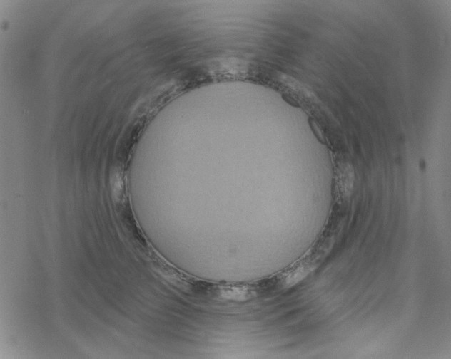 X0000068320709200605192033