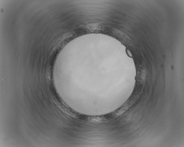 X0000068320710200605192033