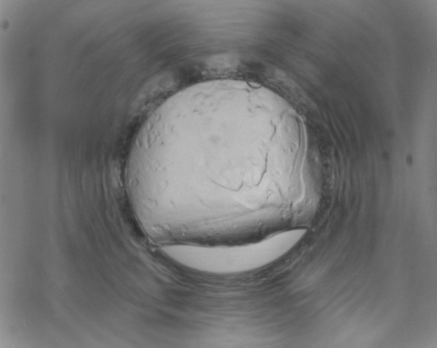 X0000068320711200605192033