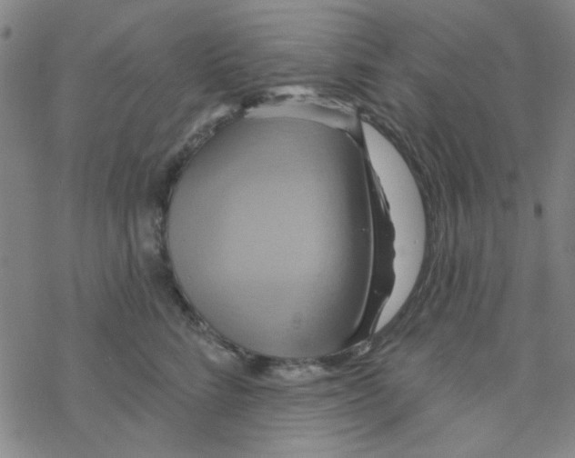 X0000068320712200605192033