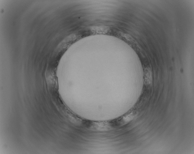 X0000068320713200605192033