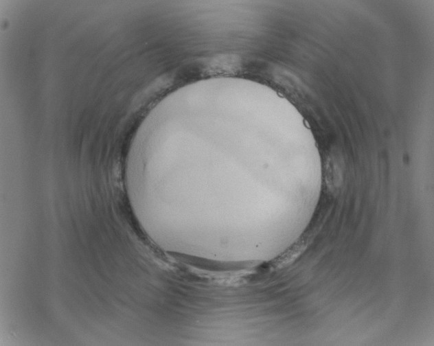 X0000068320714200605192033