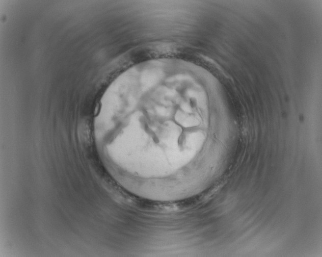 X0000068320715200605192033