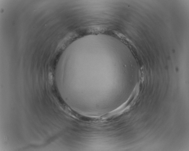 X0000068320716200605192033