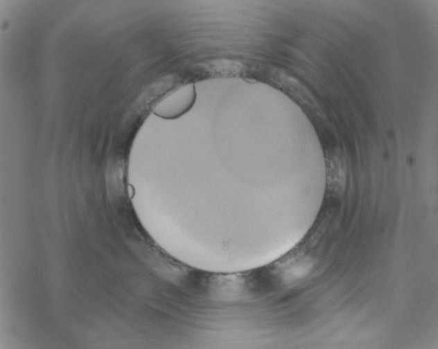 X0000068320717200605192033