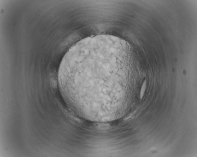 X0000068320719200605192033