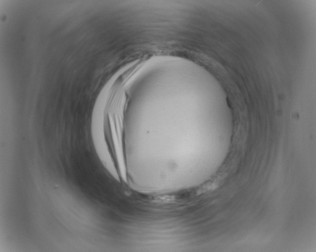 X0000068320720200605192033