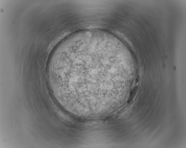 X0000068320721200605192032