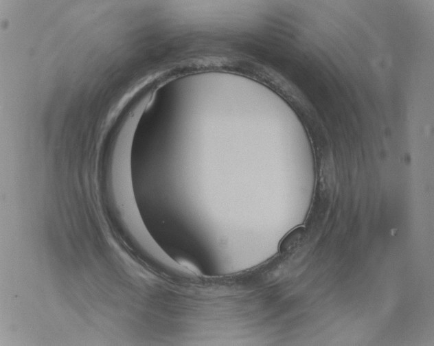 X0000068320722200605192032