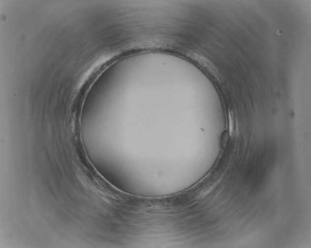 X0000068320723200605192032