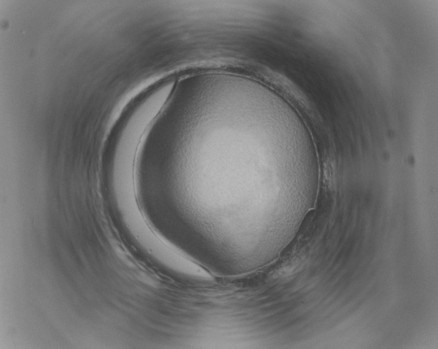 X0000068320724200605192032