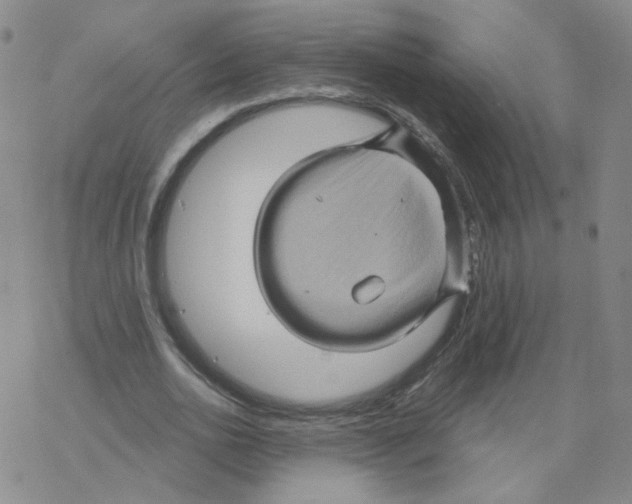 X0000068320726200605192032