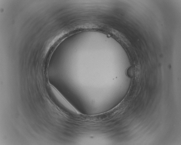 X0000068320727200605192032