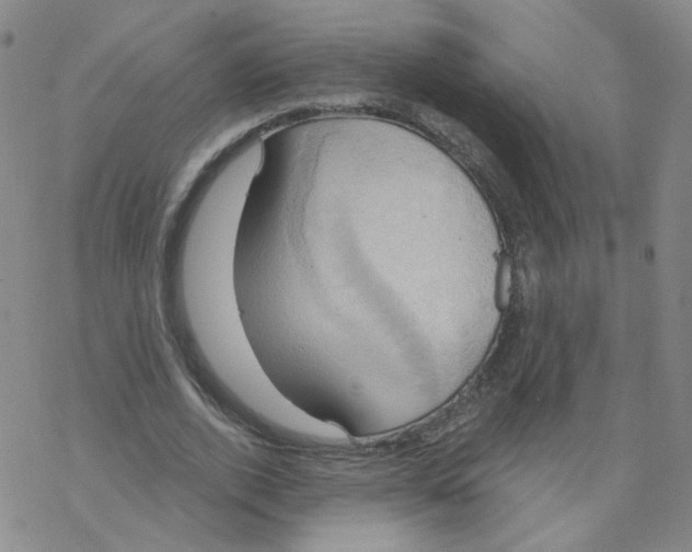 X0000068320728200605192032