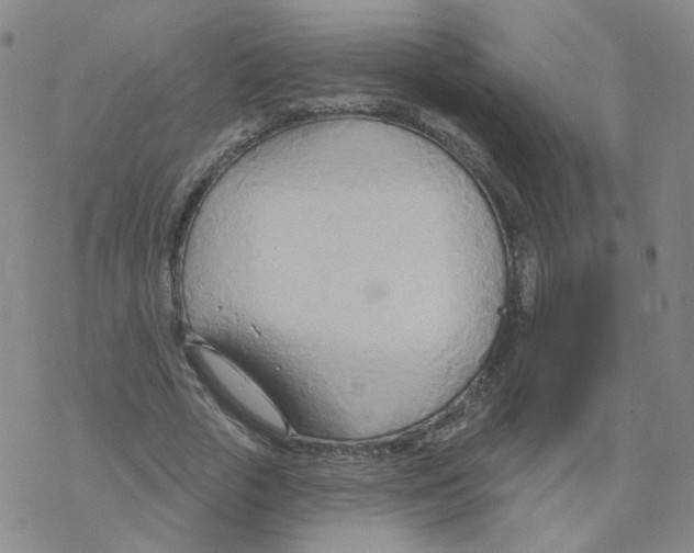 X0000068320729200605192032