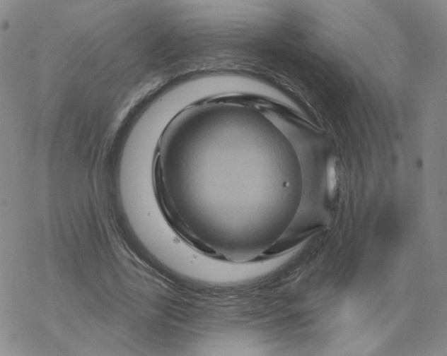 X0000068320731200605192032