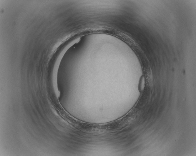 X0000068320732200605192032