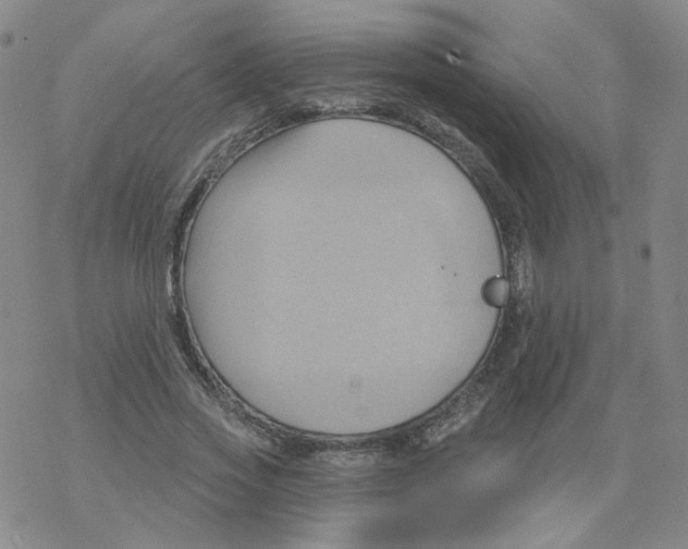 X0000068320733200605192032