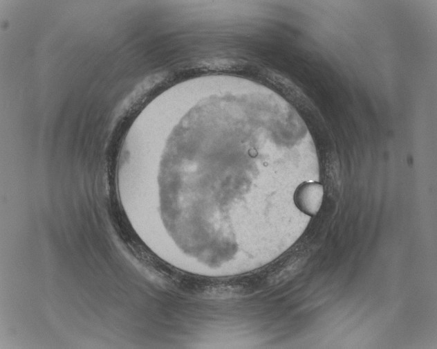 X0000068320734200605192032