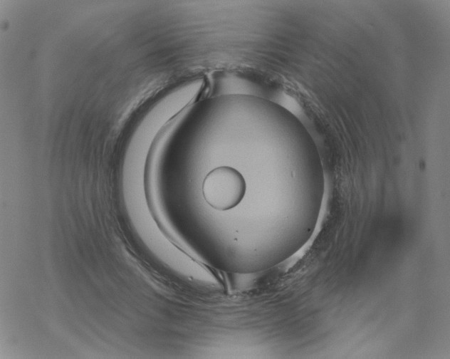 X0000068320735200605192032