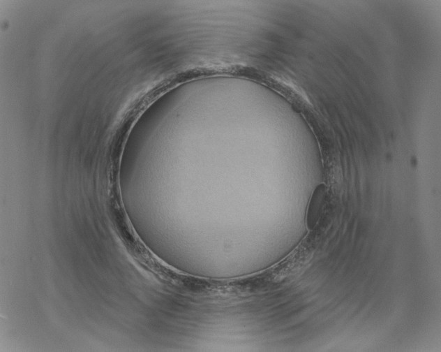 X0000068320736200605192032