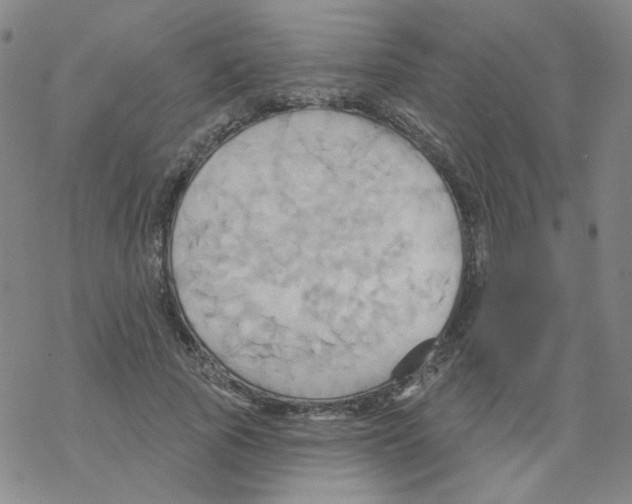 X0000068320737200605192032