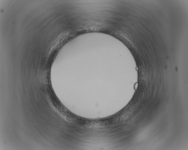 X0000068320738200605192032