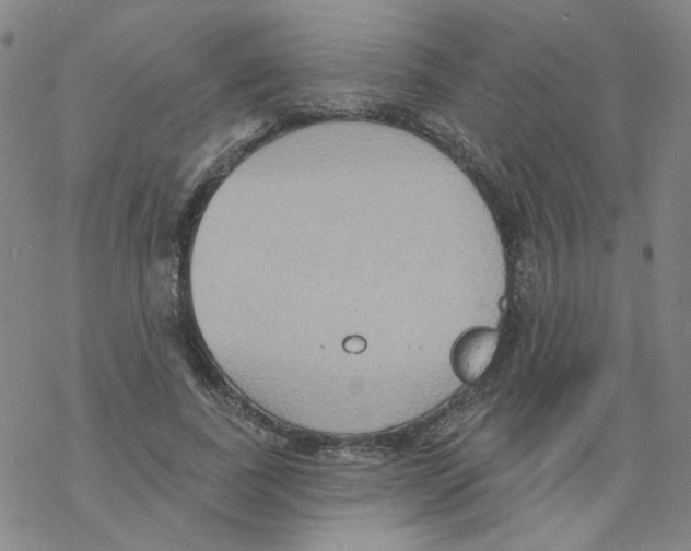 X0000068320739200605192032