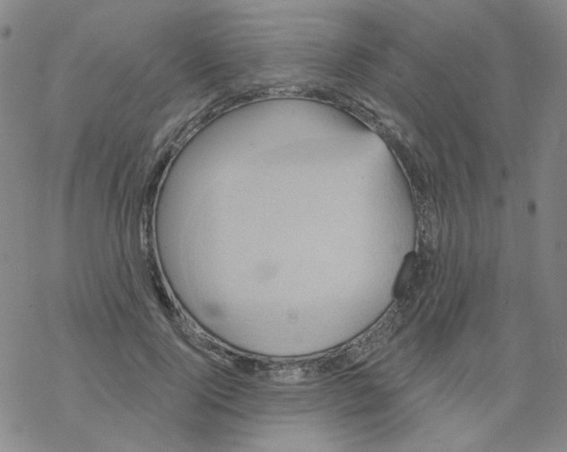 X0000068320740200605192032