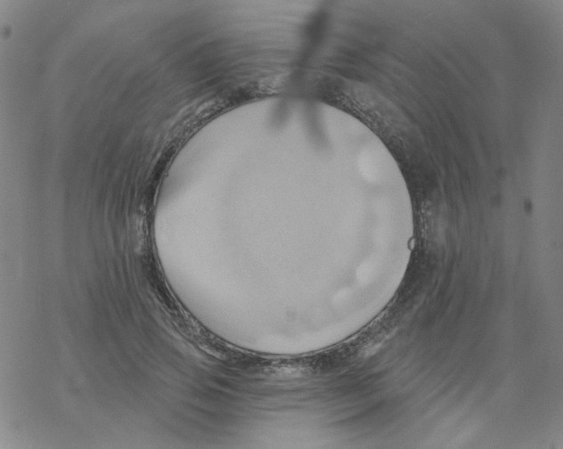 X0000068320741200605192032