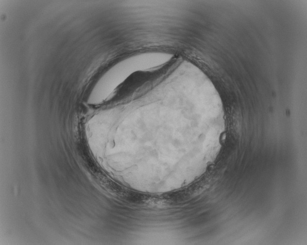 X0000068320742200605192032