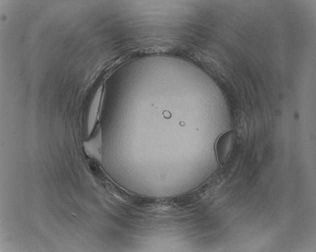 X0000068320743200605192032