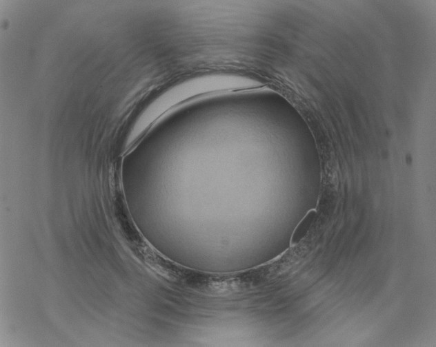 X0000068320744200605192033