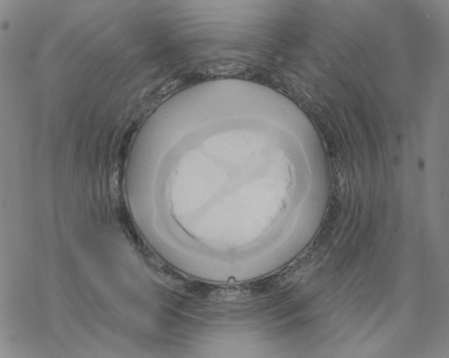 X0000068320745200605192033