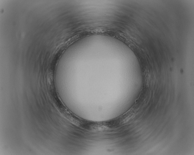 X0000068320747200605192033