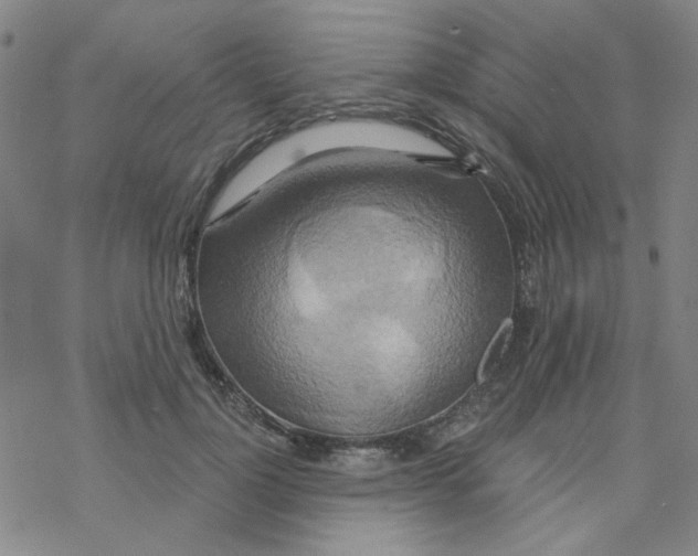 X0000068320748200605192033