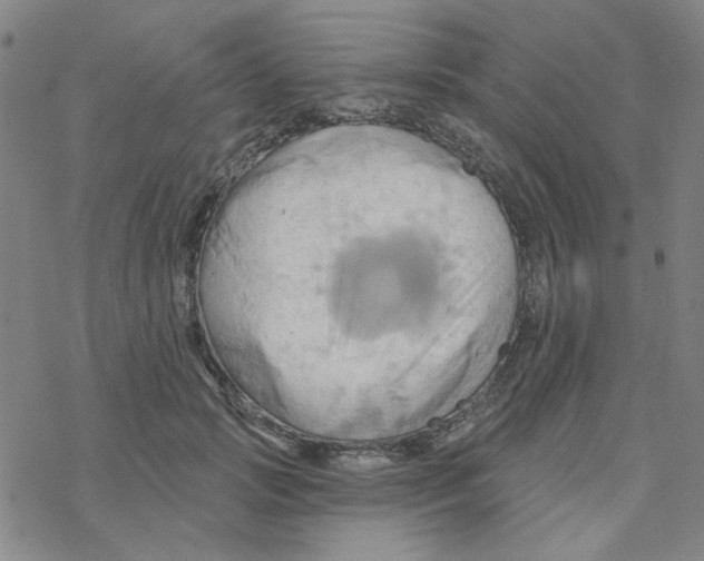 X0000068320749200605192033