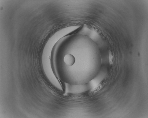 X0000068320750200605192033