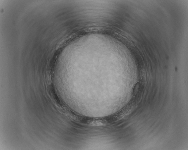 X0000068320751200605192033