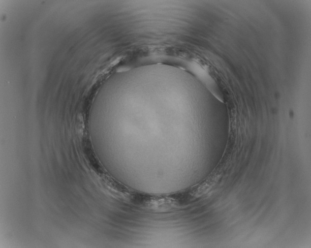 X0000068320752200605192033