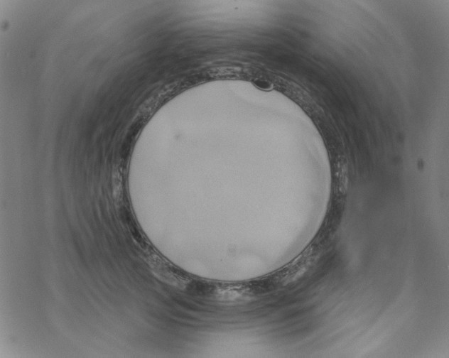 X0000068320753200605192033