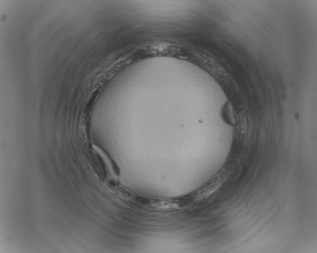 X0000068320754200605192033