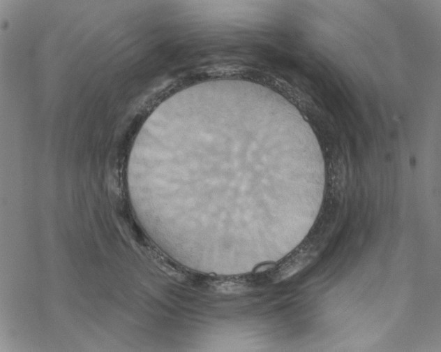 X0000068320755200605192033