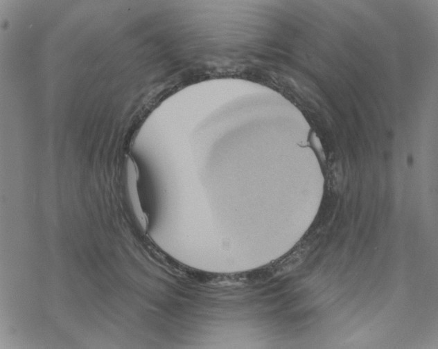 X0000068320756200605192033