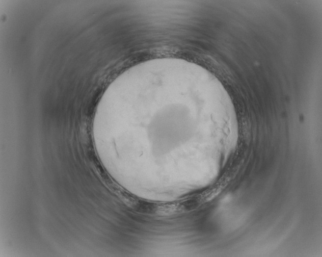 X0000068320757200605192033