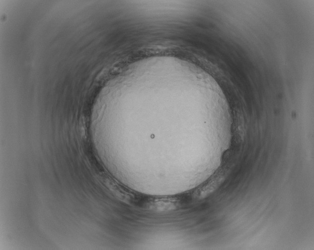 X0000068320758200605192033